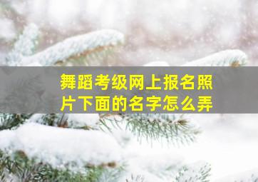 舞蹈考级网上报名照片下面的名字怎么弄