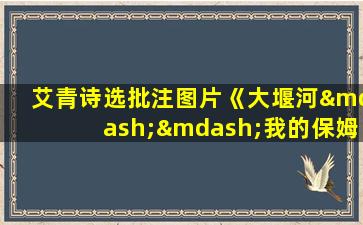 艾青诗选批注图片《大堰河——我的保姆》