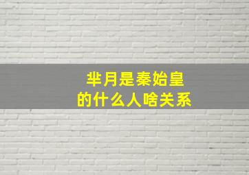 芈月是秦始皇的什么人啥关系