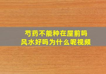 芍药不能种在屋前吗风水好吗为什么呢视频