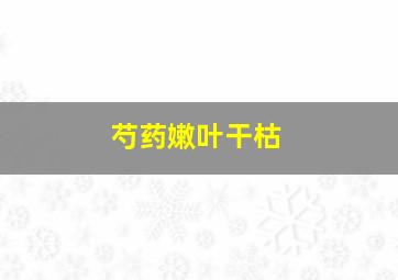 芍药嫩叶干枯