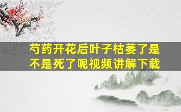 芍药开花后叶子枯萎了是不是死了呢视频讲解下载