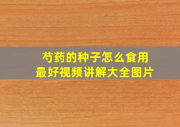 芍药的种子怎么食用最好视频讲解大全图片