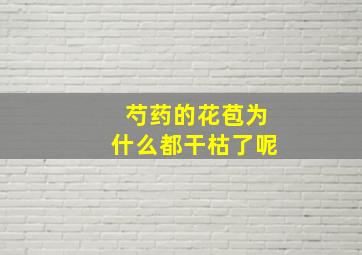 芍药的花苞为什么都干枯了呢