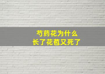 芍药花为什么长了花苞又死了