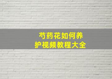 芍药花如何养护视频教程大全