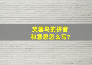 芙蓉鸟的拼音和意思怎么写?