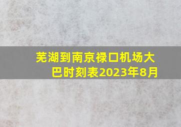 芜湖到南京禄口机场大巴时刻表2023年8月