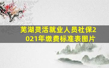 芜湖灵活就业人员社保2021年缴费标准表图片