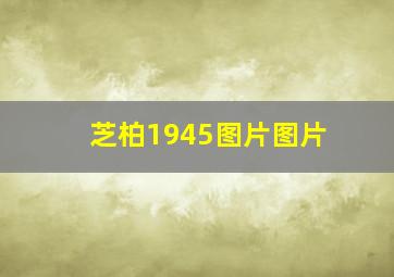 芝柏1945图片图片