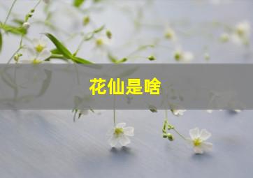 花仙是啥