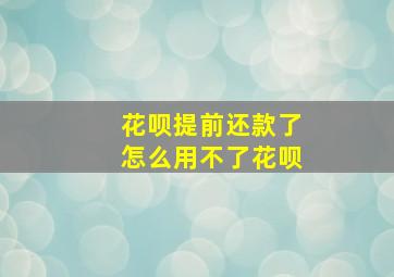 花呗提前还款了怎么用不了花呗