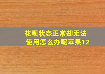 花呗状态正常却无法使用怎么办呢苹果12