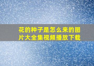 花的种子是怎么来的图片大全集视频播放下载