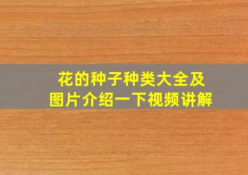 花的种子种类大全及图片介绍一下视频讲解