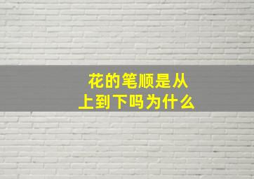 花的笔顺是从上到下吗为什么