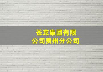 苍龙集团有限公司贵州分公司