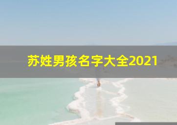 苏姓男孩名字大全2021