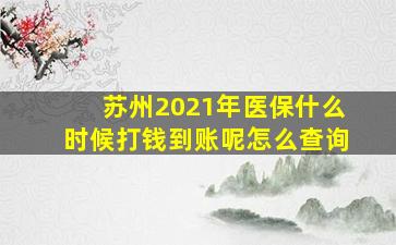 苏州2021年医保什么时候打钱到账呢怎么查询