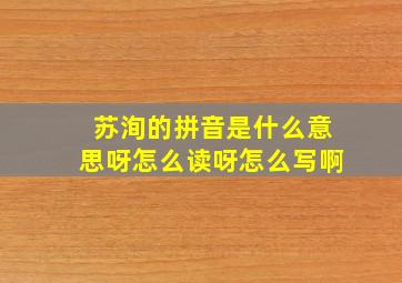 苏洵的拼音是什么意思呀怎么读呀怎么写啊