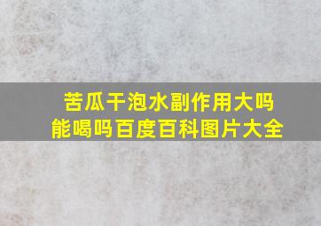 苦瓜干泡水副作用大吗能喝吗百度百科图片大全