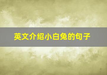 英文介绍小白兔的句子