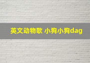 英文动物歌 小狗小狗dag