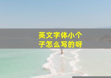 英文字体小个子怎么写的呀