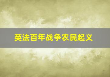 英法百年战争农民起义