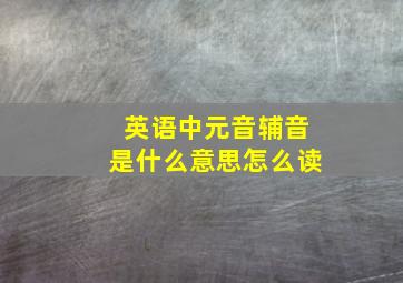 英语中元音辅音是什么意思怎么读