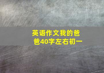 英语作文我的爸爸40字左右初一