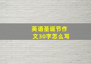 英语圣诞节作文30字怎么写