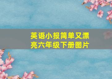 英语小报简单又漂亮六年级下册图片