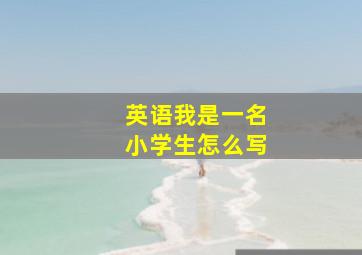 英语我是一名小学生怎么写