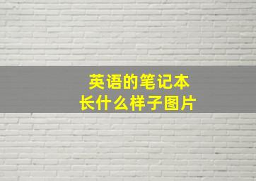 英语的笔记本长什么样子图片