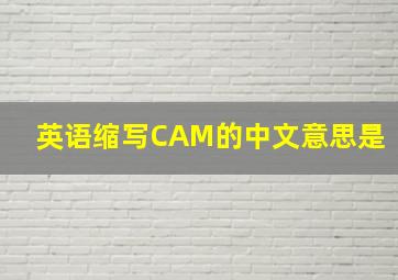 英语缩写CAM的中文意思是