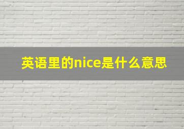 英语里的nice是什么意思