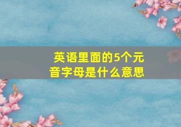 英语里面的5个元音字母是什么意思