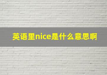 英语里nice是什么意思啊