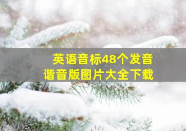 英语音标48个发音谐音版图片大全下载