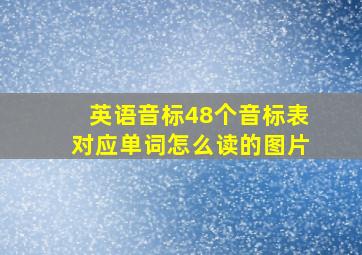 英语音标48个音标表对应单词怎么读的图片