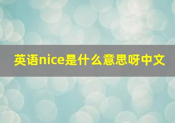 英语nice是什么意思呀中文