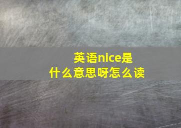 英语nice是什么意思呀怎么读