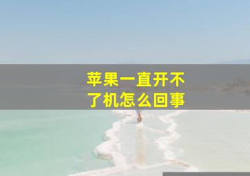 苹果一直开不了机怎么回事