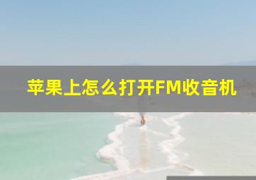 苹果上怎么打开FM收音机