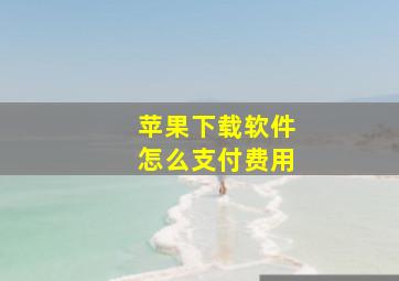 苹果下载软件怎么支付费用