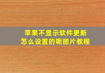 苹果不显示软件更新怎么设置的呢图片教程