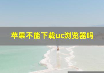 苹果不能下载uc浏览器吗