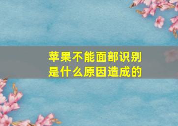 苹果不能面部识别是什么原因造成的