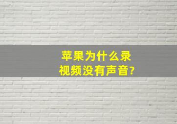 苹果为什么录视频没有声音?